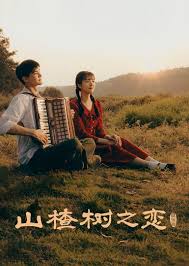 山楂树之恋2025