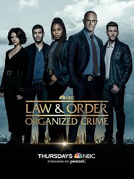 法律与秩序·组织犯罪第三季第16集