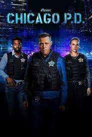 芝加哥警署 第十一季第12集