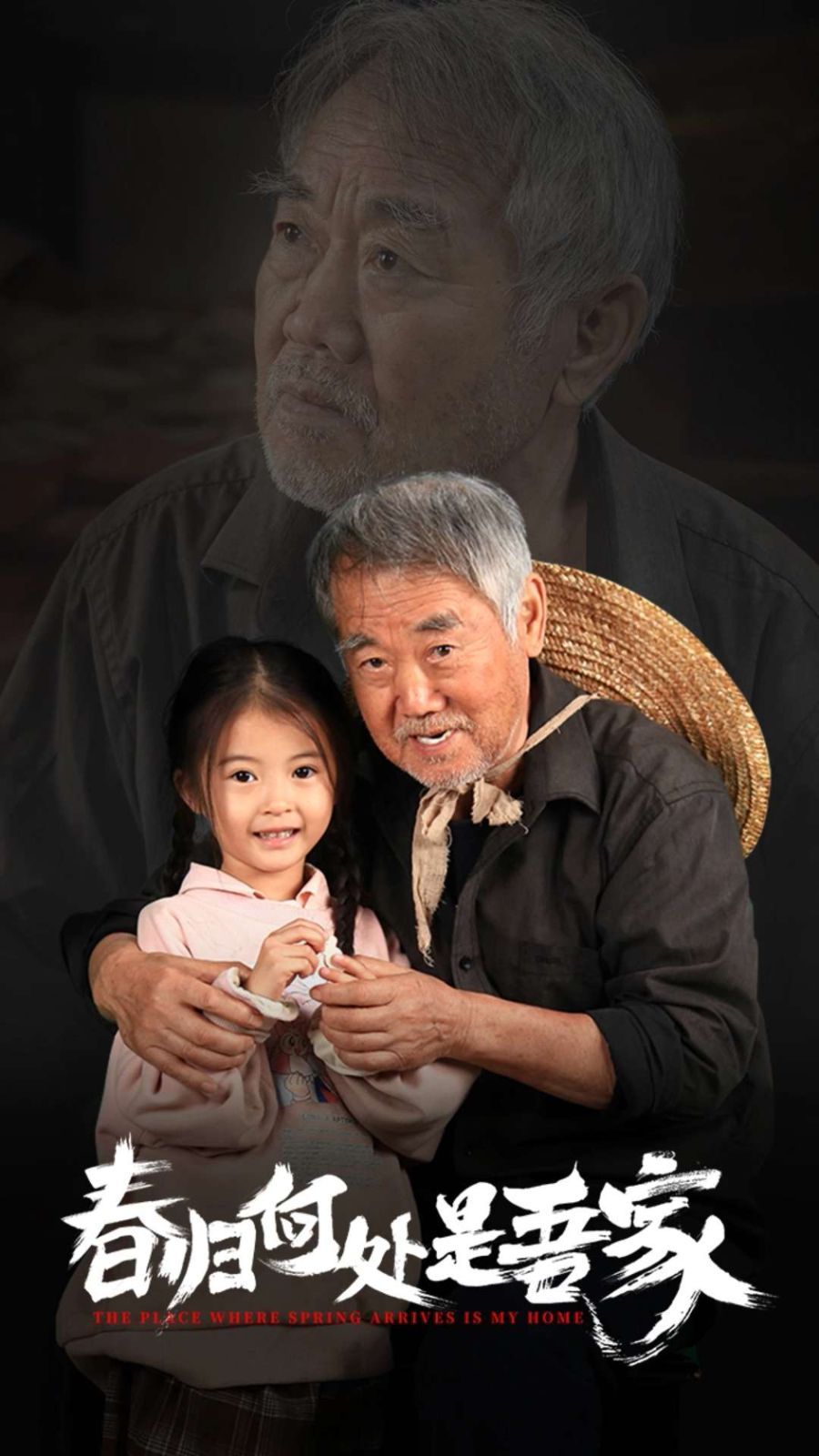 春归何处是吾家第31-59集(大结局)