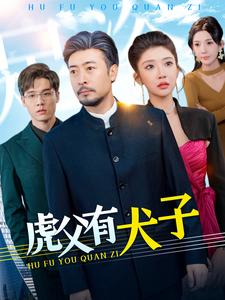 虎父有犬子第001-030集