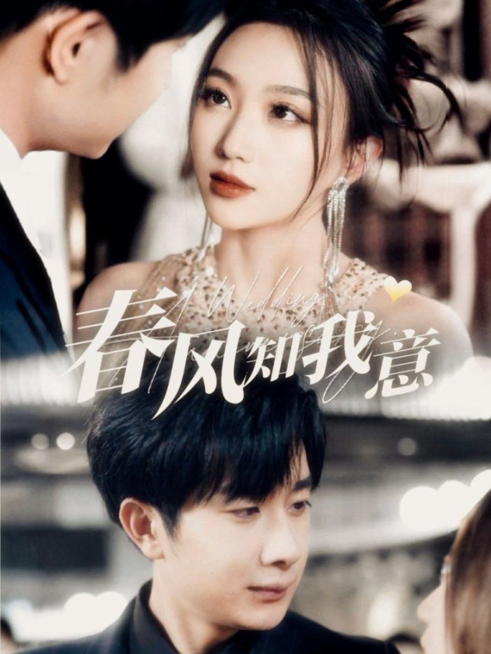 春风知我意第61-74集(大结局)